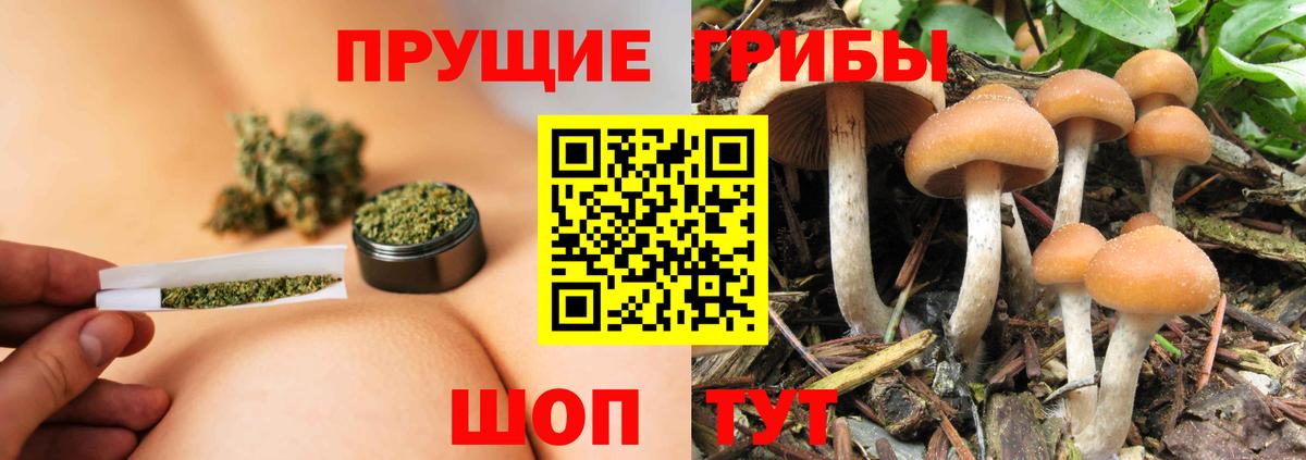 Галлюциногенные грибы прущие грибы  Галлюциногенные грибы Magic Shrooms  Златоуст  наркотики  Вход с VPN 